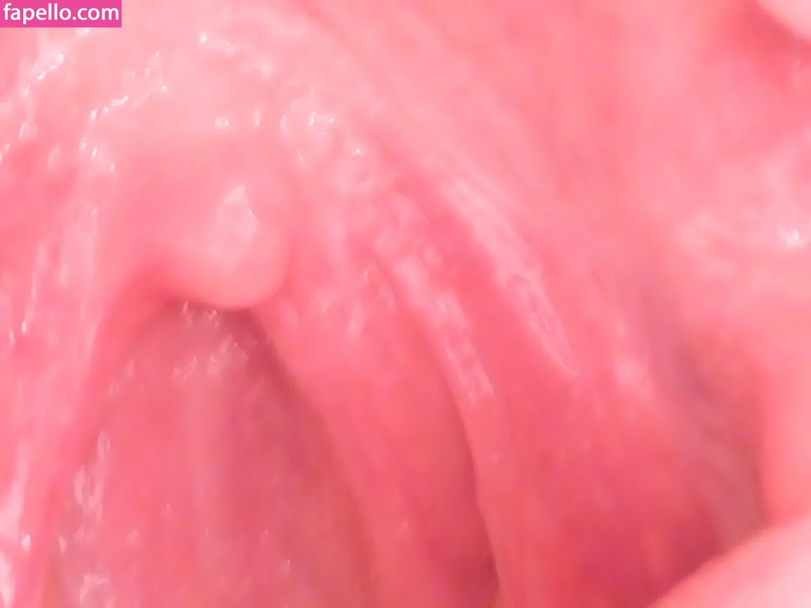 Katelyn Brooks Onlyfans Photo Gallery 