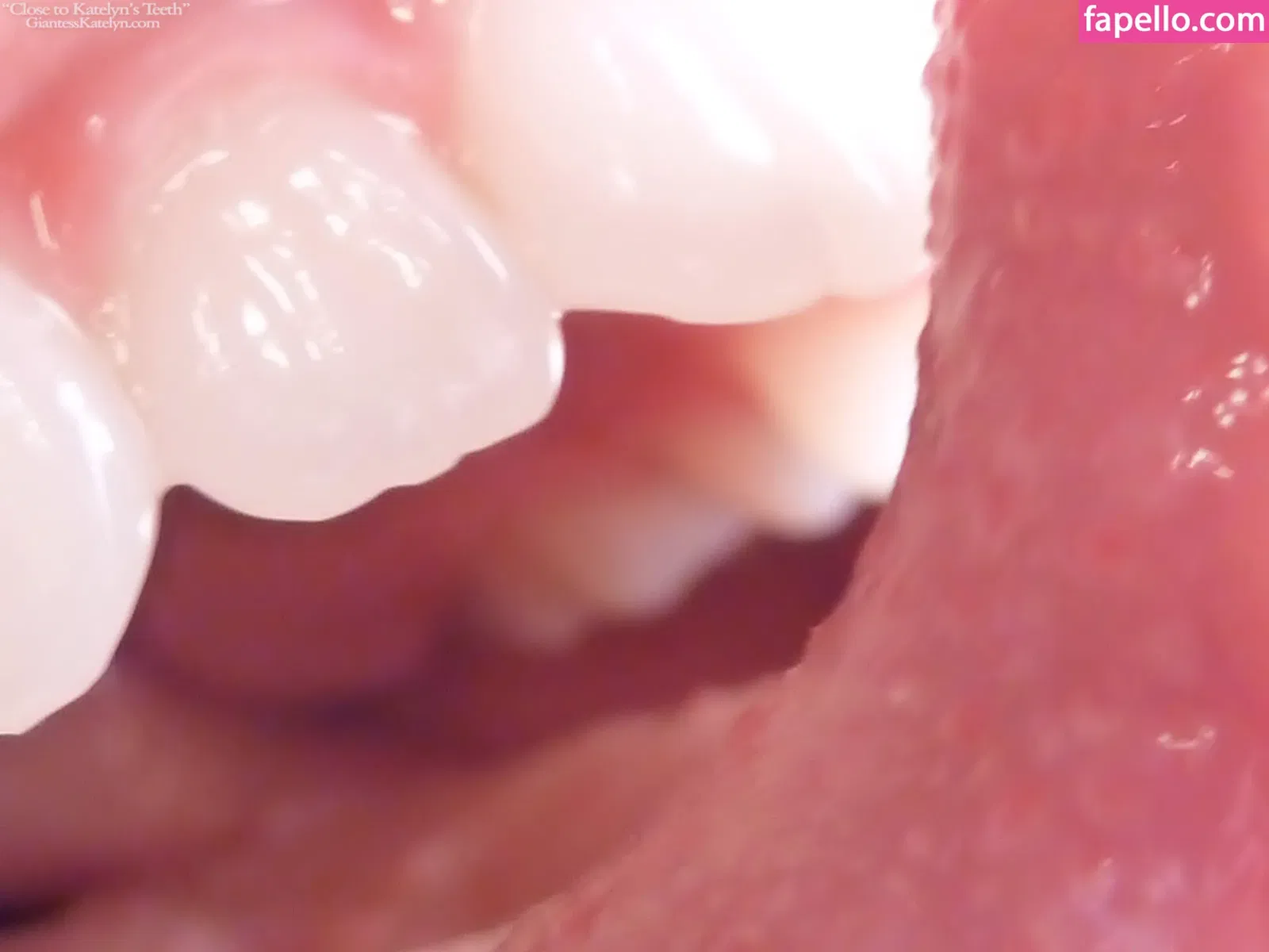 Katelyn Brooks Onlyfans Photo Gallery 