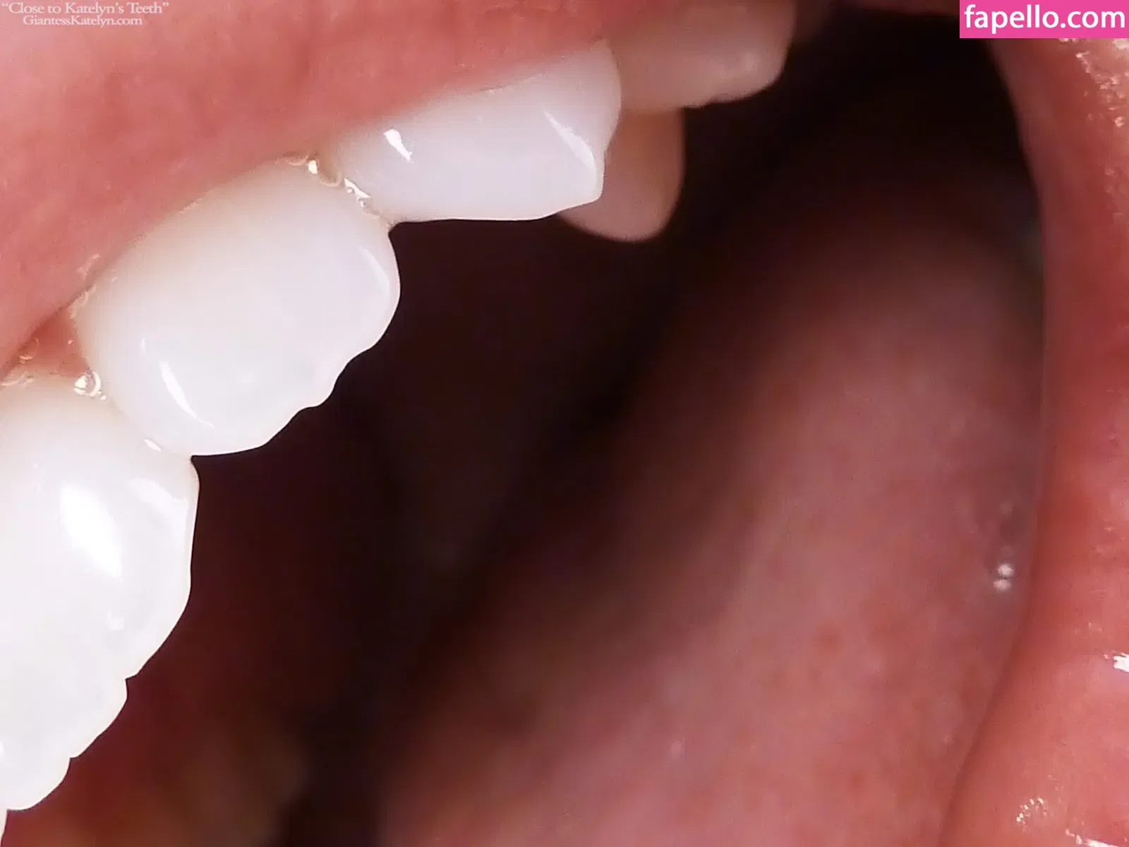 Katelyn Brooks Onlyfans Photo Gallery 