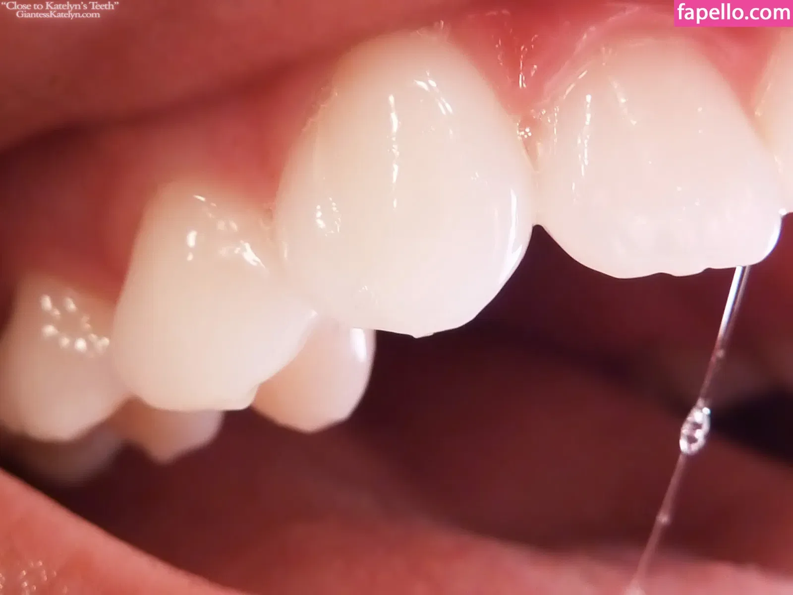 Katelyn Brooks Onlyfans Photo Gallery 