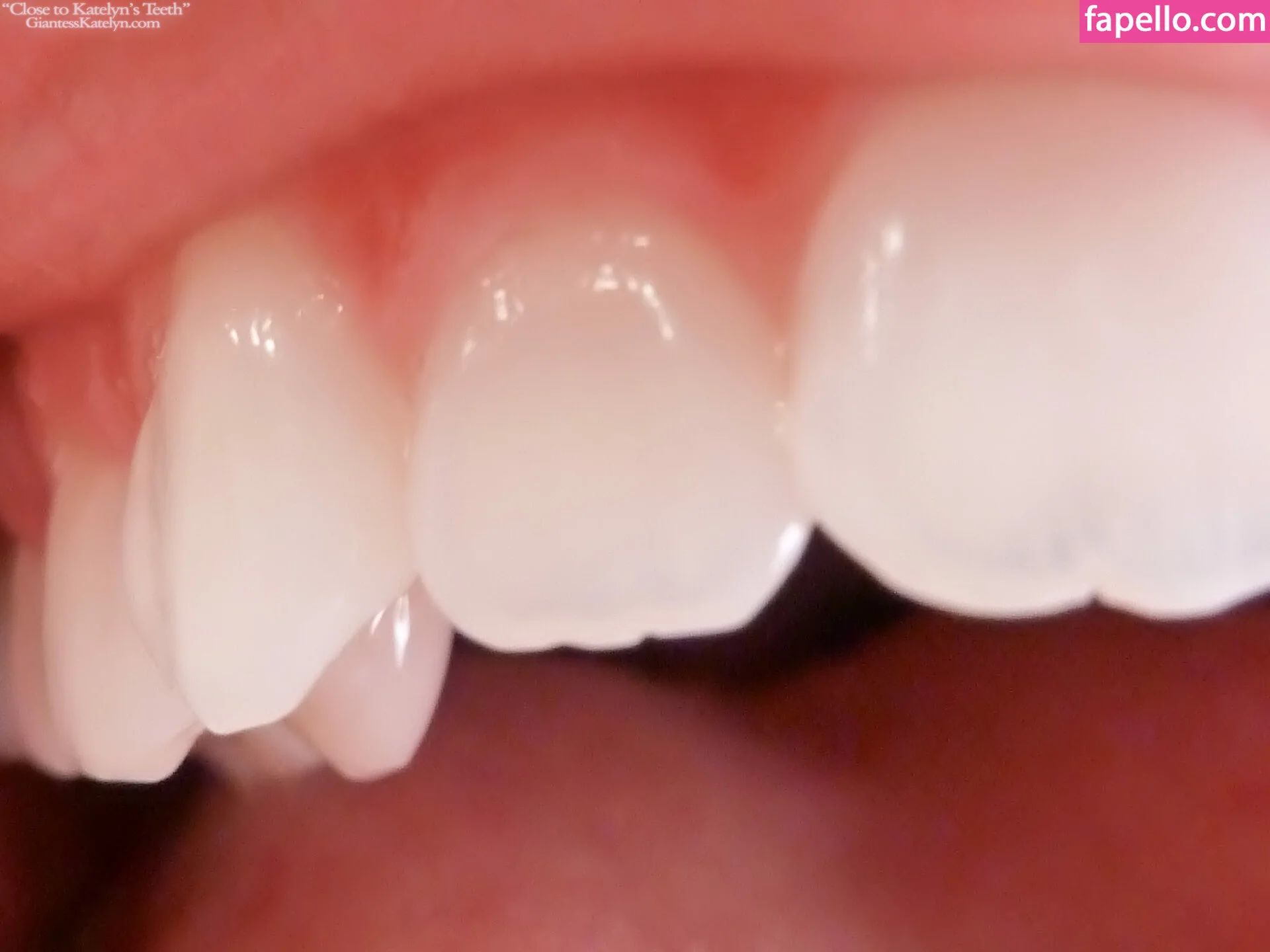 Katelyn Brooks Onlyfans Photo Gallery 