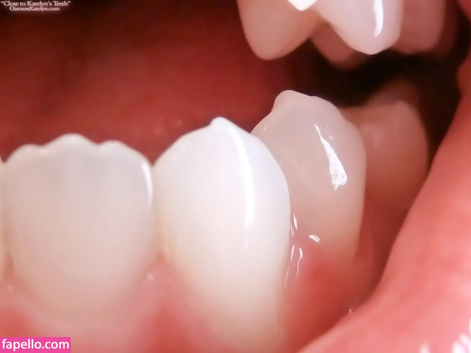 Katelyn Brooks Onlyfans Photo Gallery 