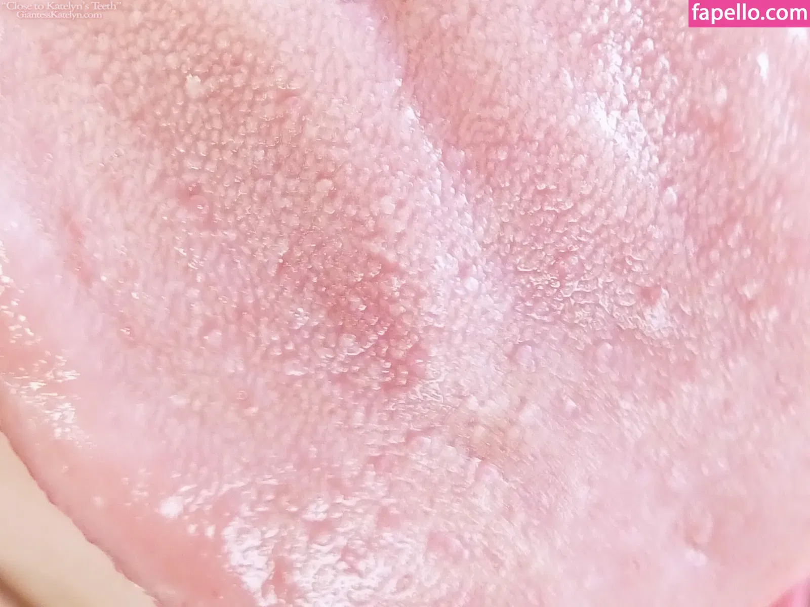 Katelyn Brooks Onlyfans Photo Gallery 