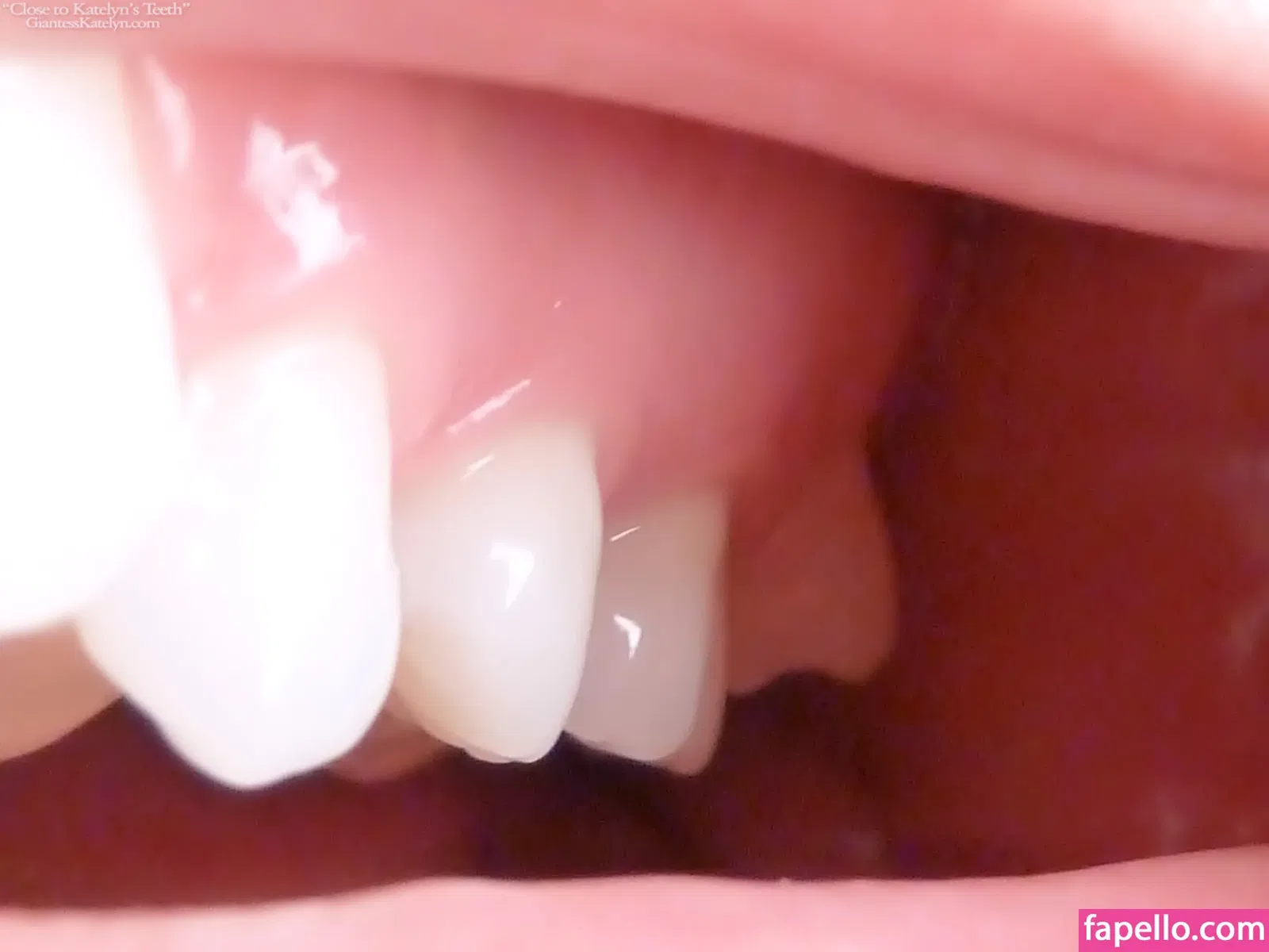 Katelyn Brooks Onlyfans Photo Gallery 