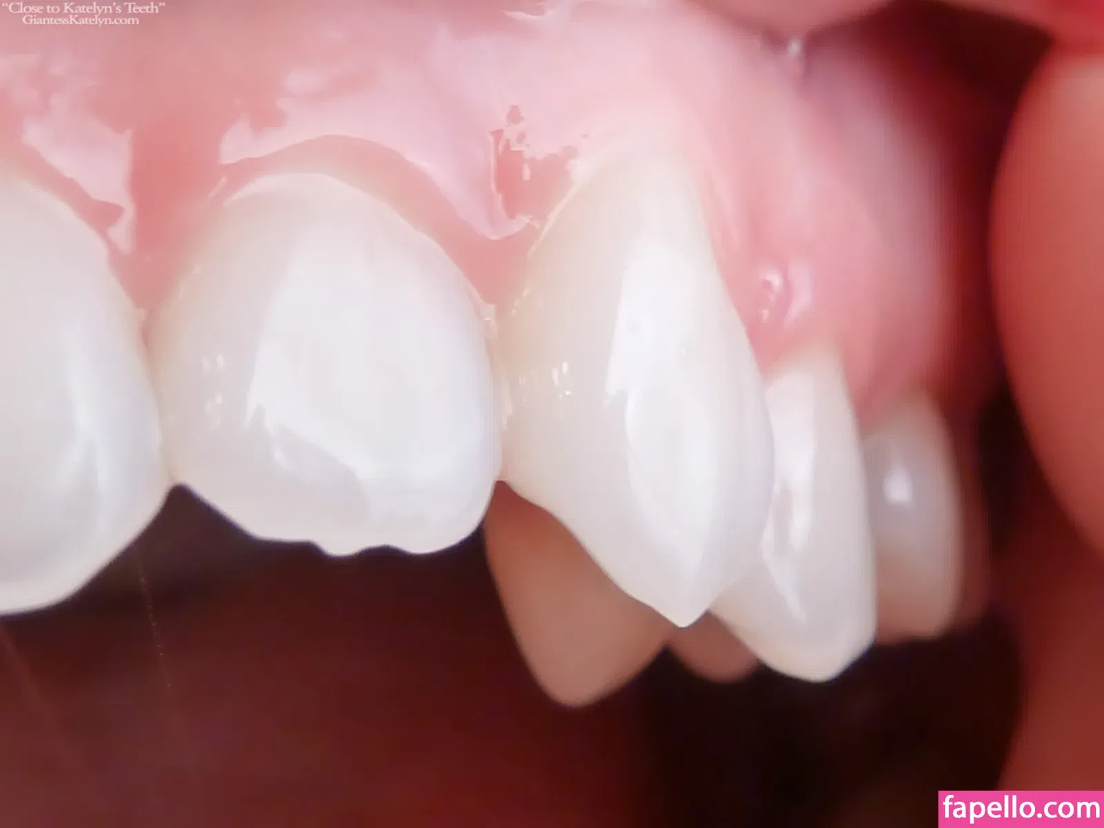 Katelyn Brooks Onlyfans Photo Gallery 