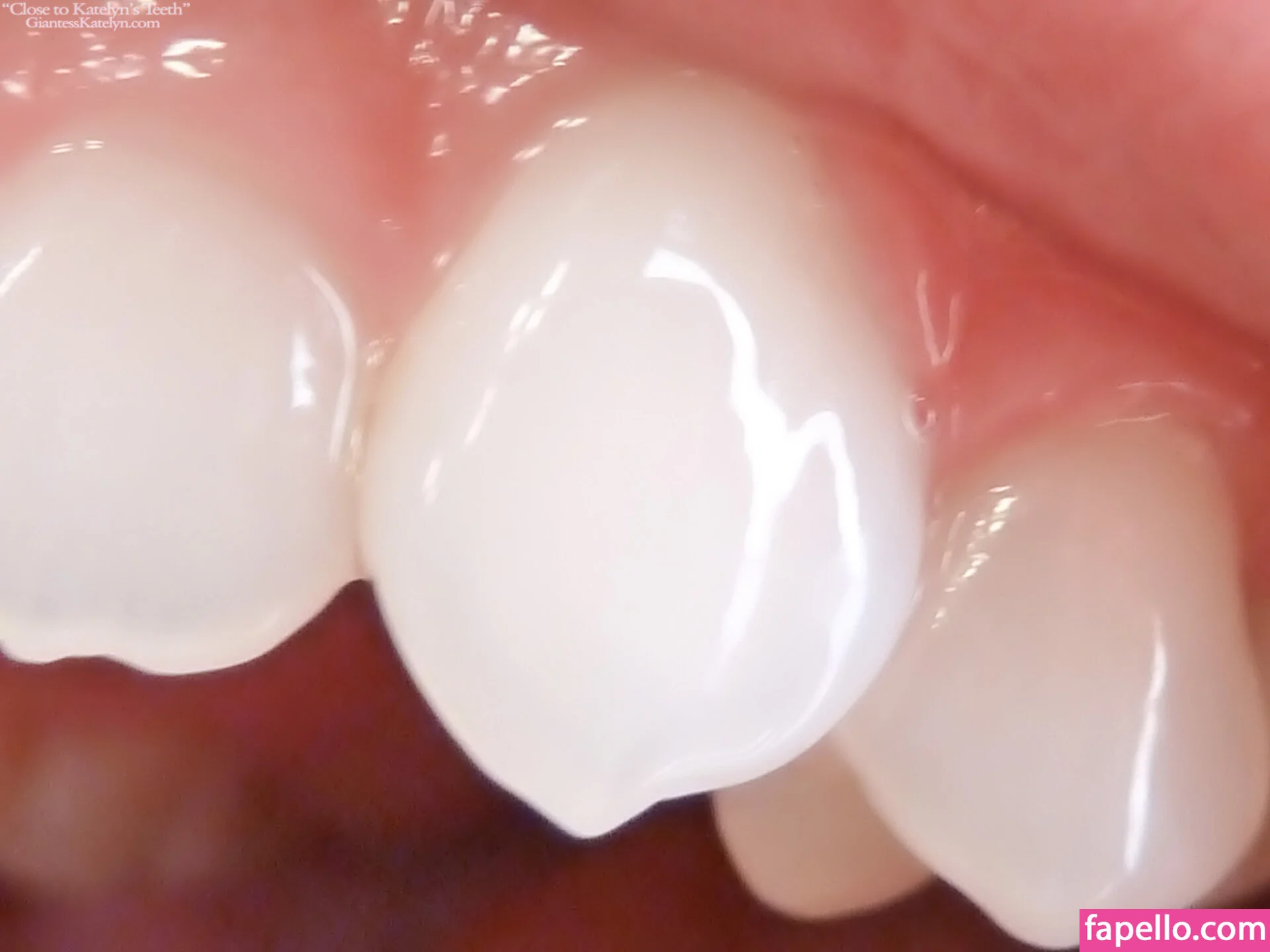 Katelyn Brooks Onlyfans Photo Gallery 