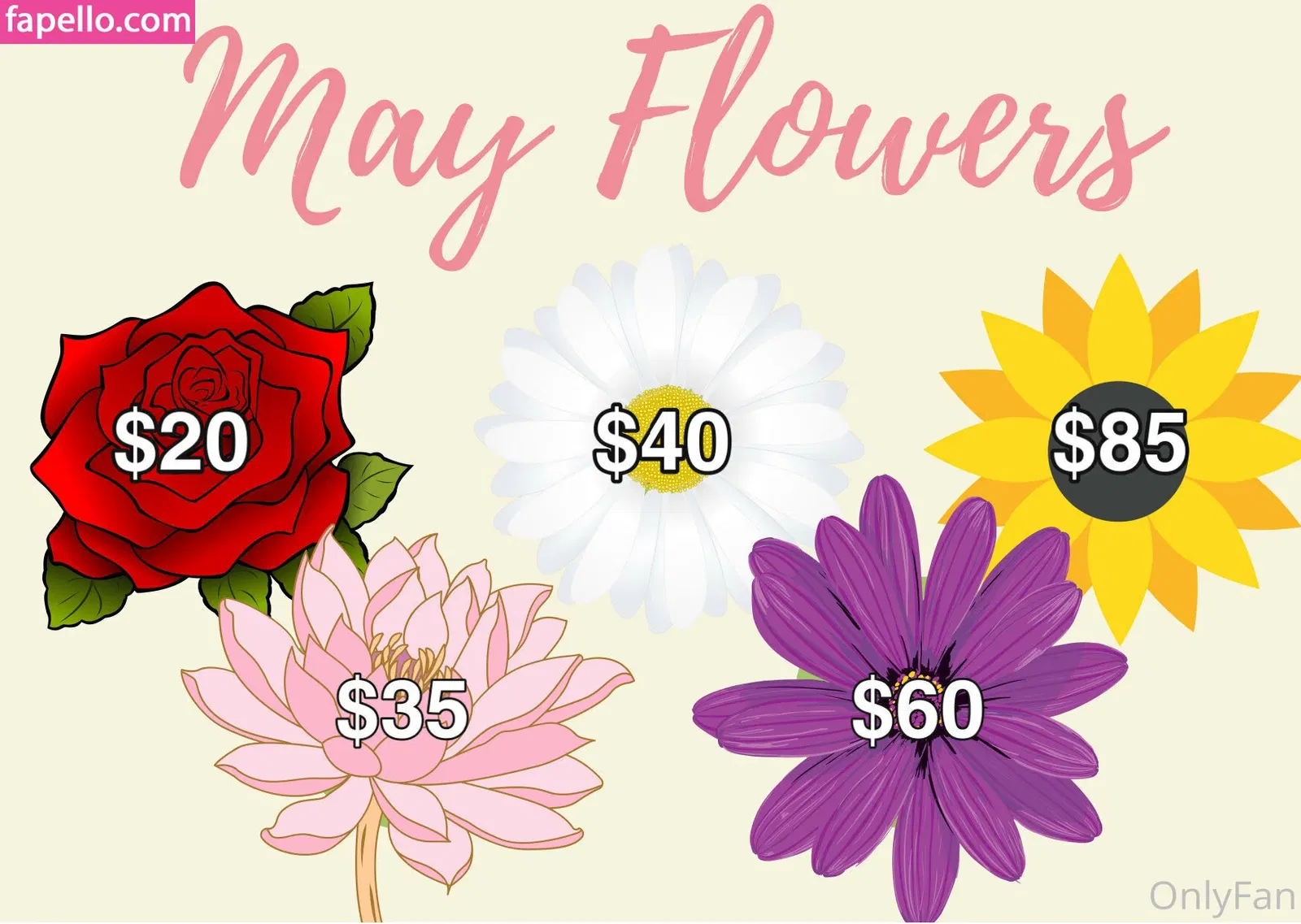 arianamarie Onlyfans Photo Gallery 