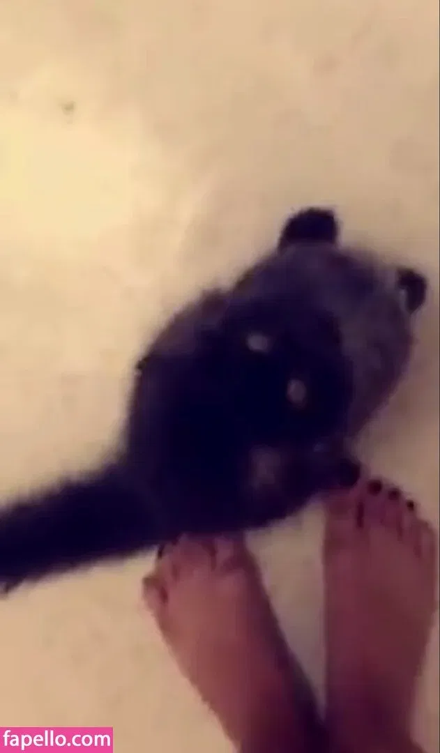 Trickywi Onlyfans Photo Gallery 