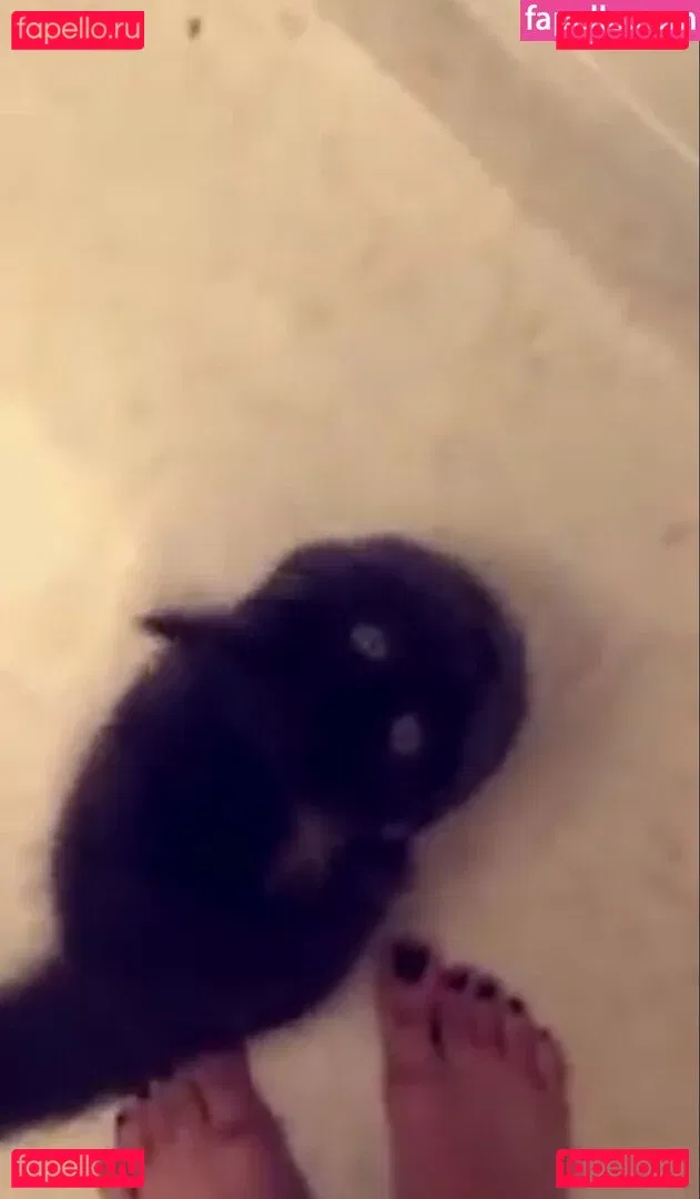 Trickywi Onlyfans Photo Gallery 