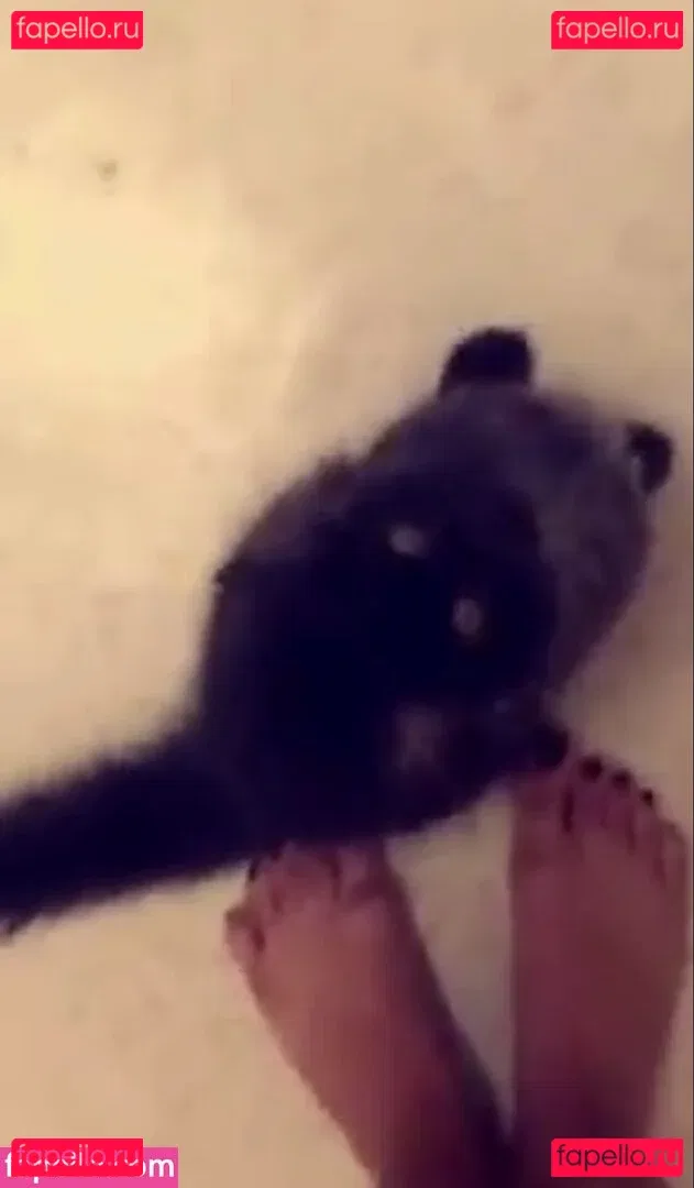 Trickywi Onlyfans Photo Gallery 