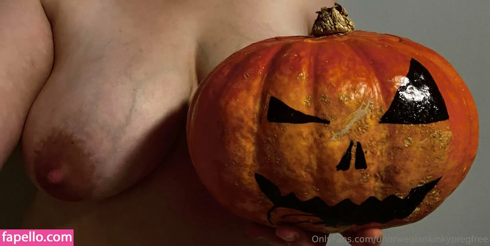 unorwegiankinkypregfree Onlyfans Photo Gallery 