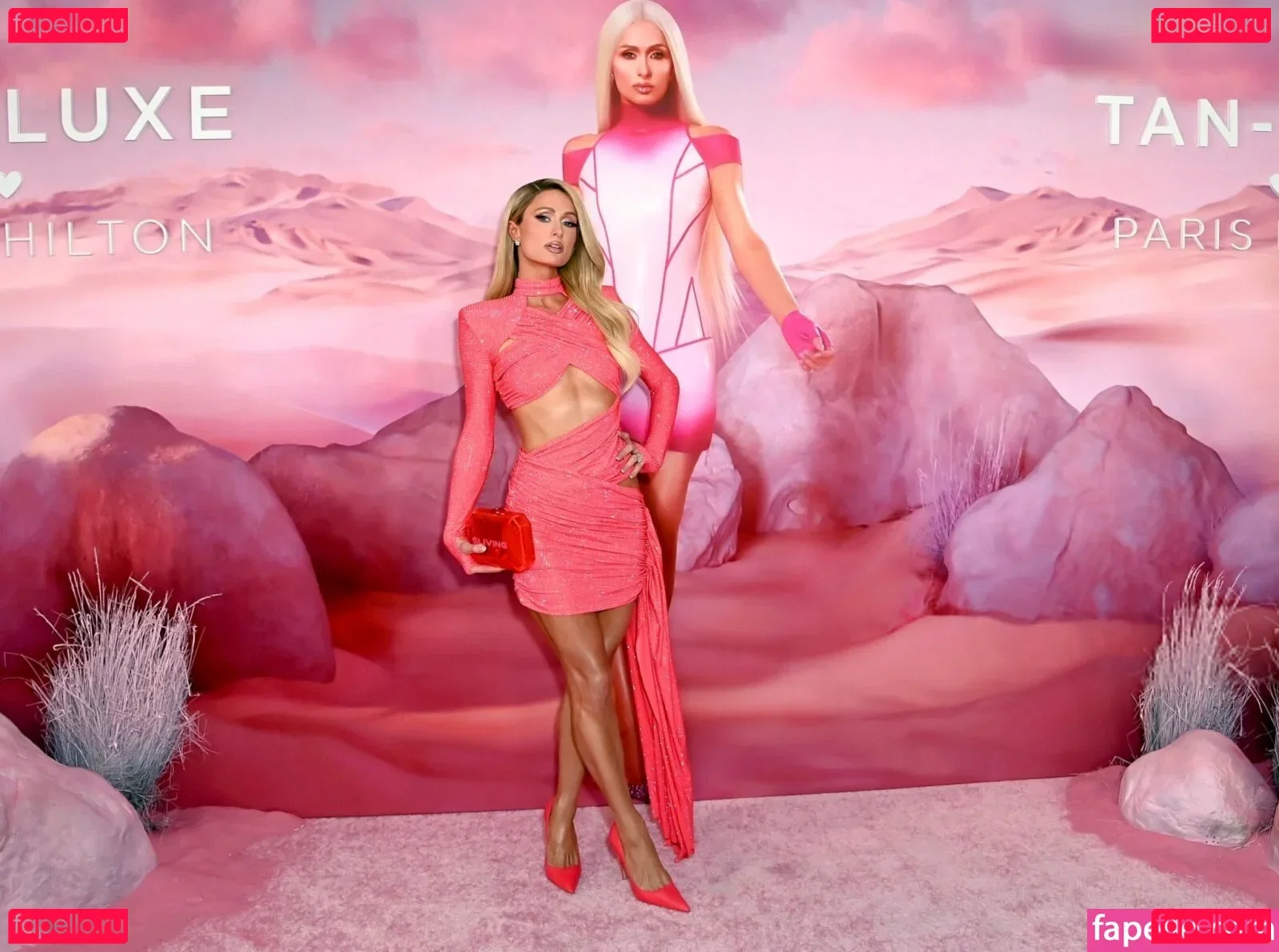 Paris Hilton Onlyfans Photo Gallery 