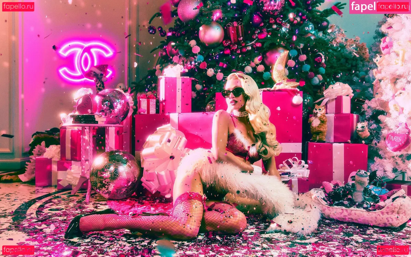 Paris Hilton Onlyfans Photo Gallery 