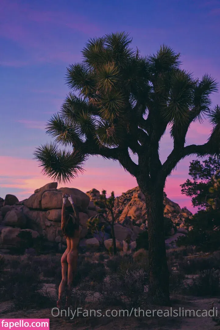 therealslimcadi Onlyfans Photo Gallery 