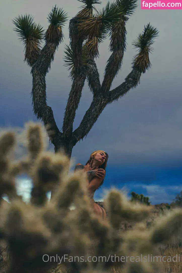 therealslimcadi Onlyfans Photo Gallery 