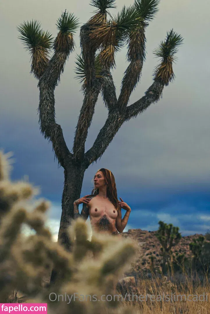 therealslimcadi Onlyfans Photo Gallery 