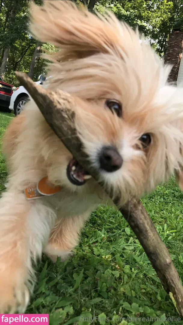 therealmizkellie Onlyfans Photo Gallery 