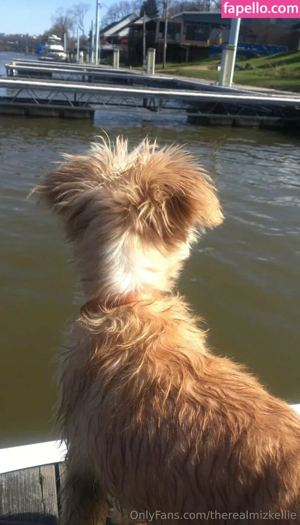 therealmizkellie Onlyfans Photo Gallery 