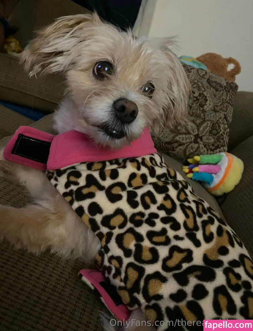 therealmizkellie Onlyfans Photo Gallery 