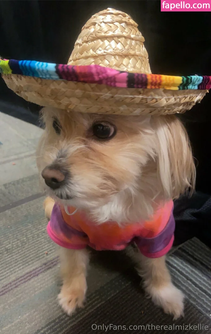 therealmizkellie Onlyfans Photo Gallery 