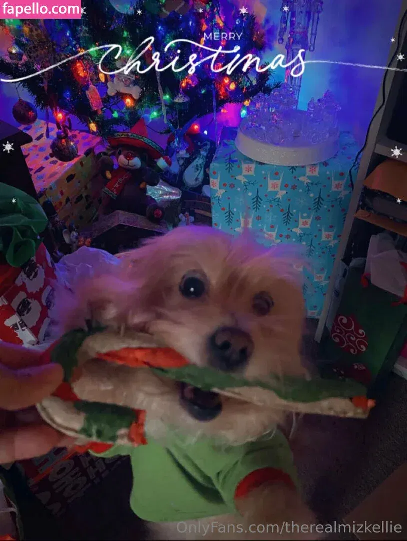 therealmizkellie Onlyfans Photo Gallery 