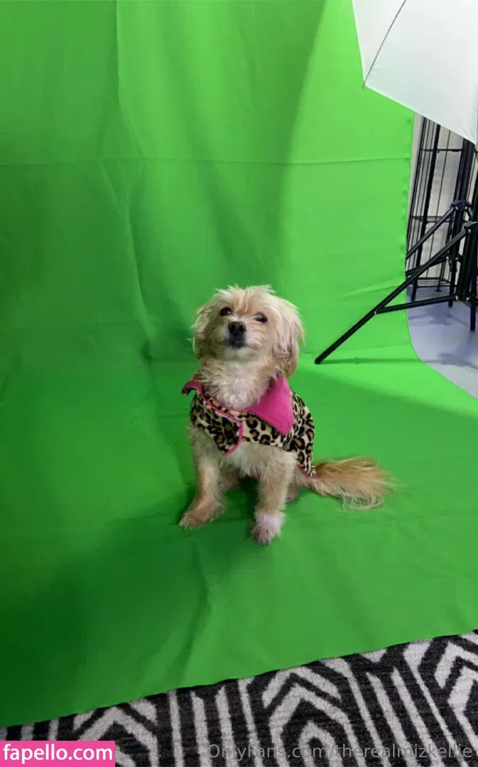 therealmizkellie Onlyfans Photo Gallery 