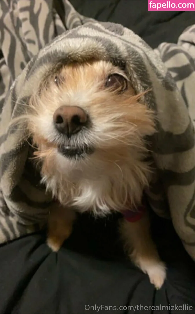 therealmizkellie Onlyfans Photo Gallery 