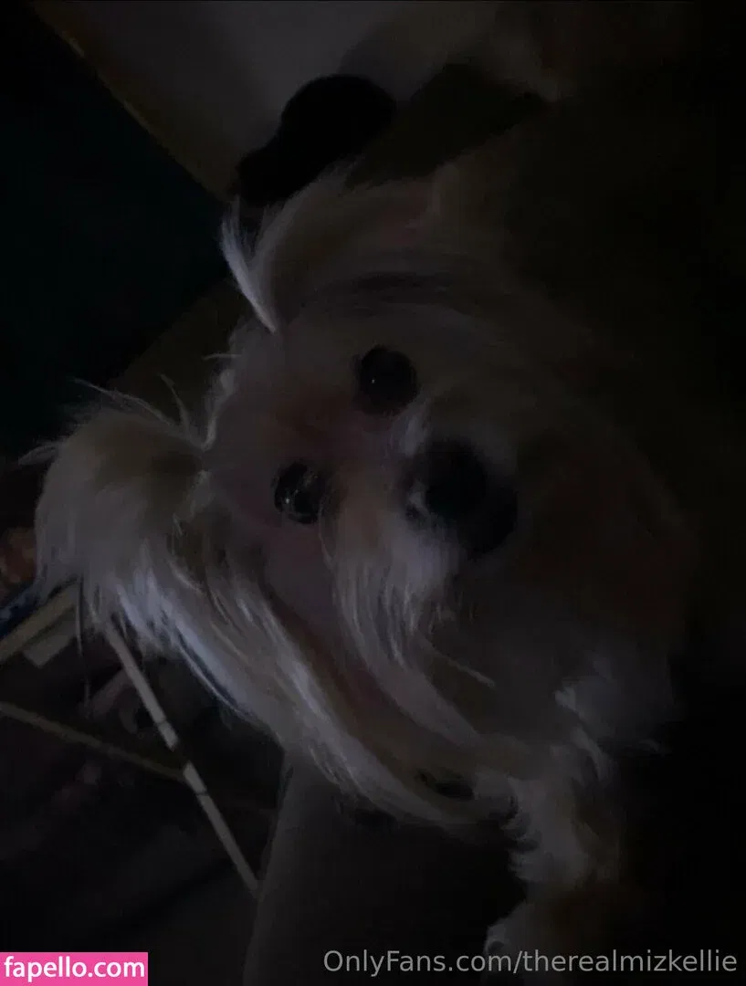 therealmizkellie Onlyfans Photo Gallery 