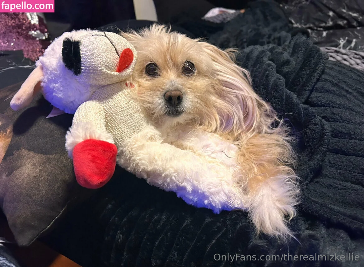 therealmizkellie Onlyfans Photo Gallery 