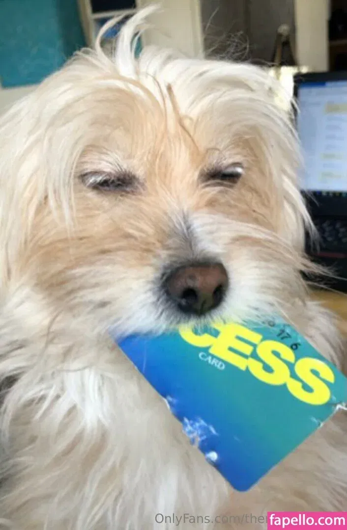 therealmizkellie Onlyfans Photo Gallery 