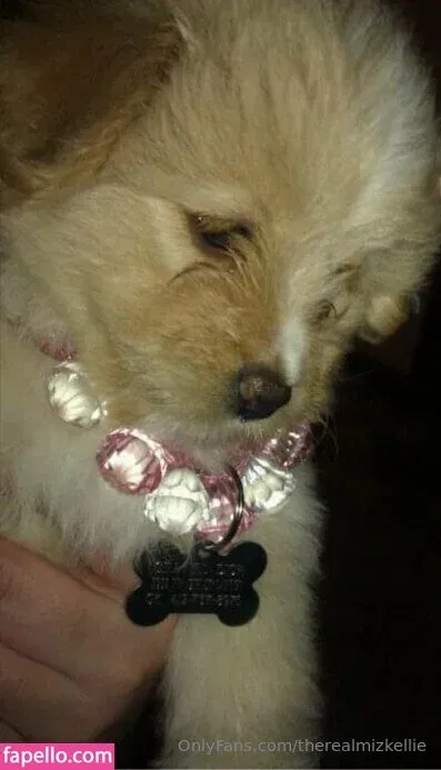 therealmizkellie Onlyfans Photo Gallery 