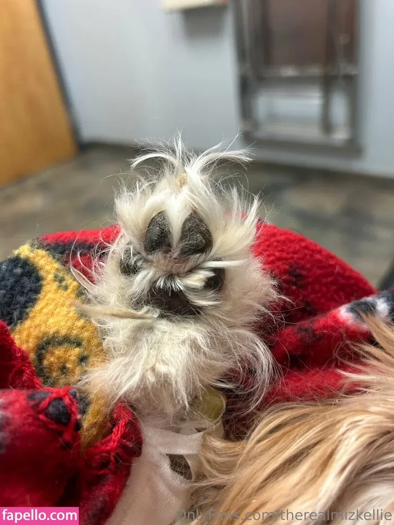 therealmizkellie Onlyfans Photo Gallery 