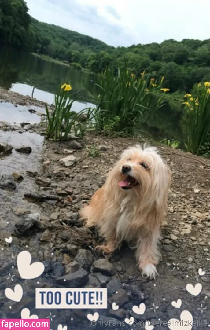 therealmizkellie Onlyfans Photo Gallery 