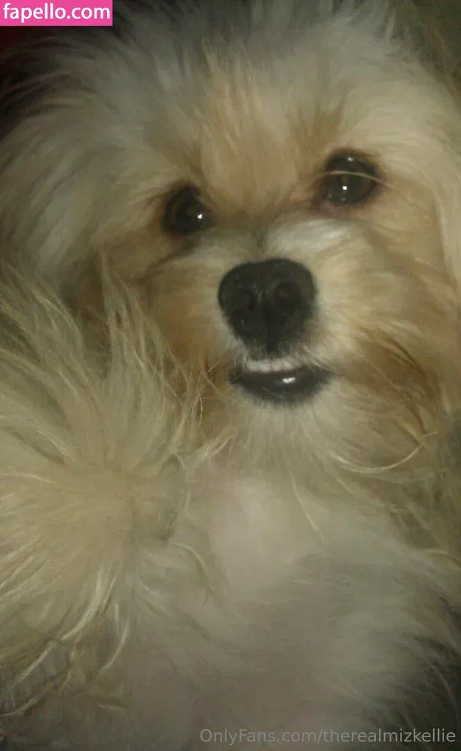 therealmizkellie Onlyfans Photo Gallery 