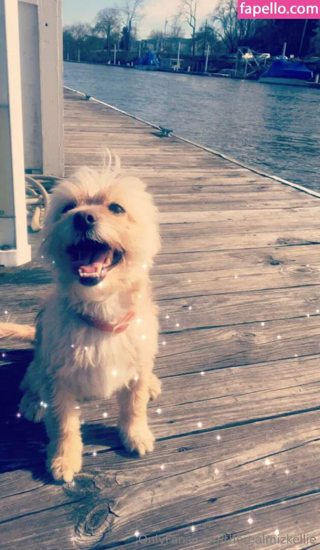 therealmizkellie Onlyfans Photo Gallery 