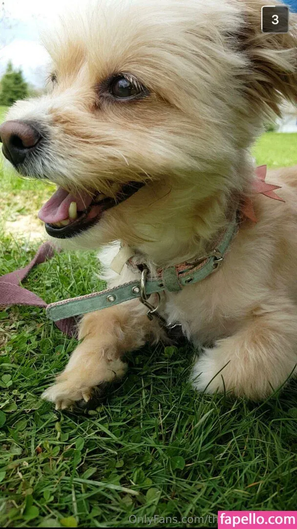 therealmizkellie Onlyfans Photo Gallery 