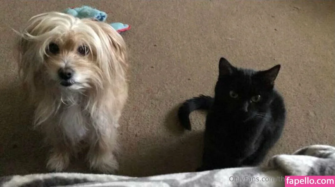 therealmizkellie Onlyfans Photo Gallery 