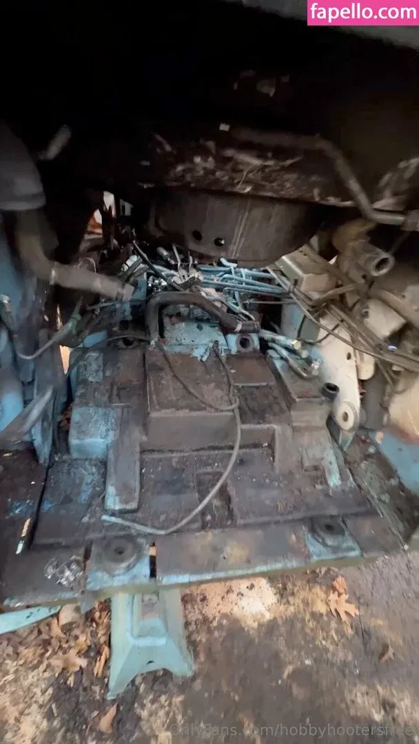 hobbyhootersfree Onlyfans Photo Gallery 