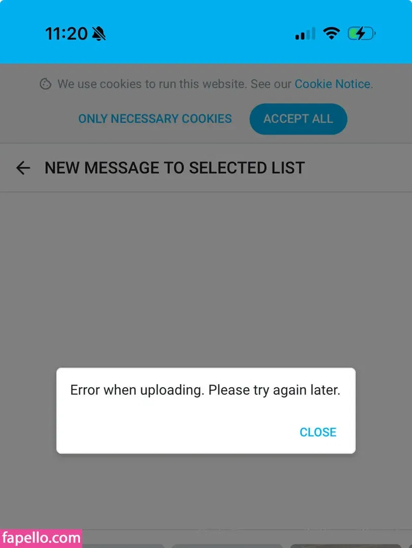 killermillerufc Onlyfans Photo Gallery 