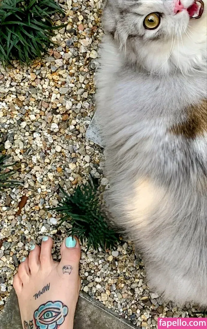 Kesha Onlyfans Photo Gallery 