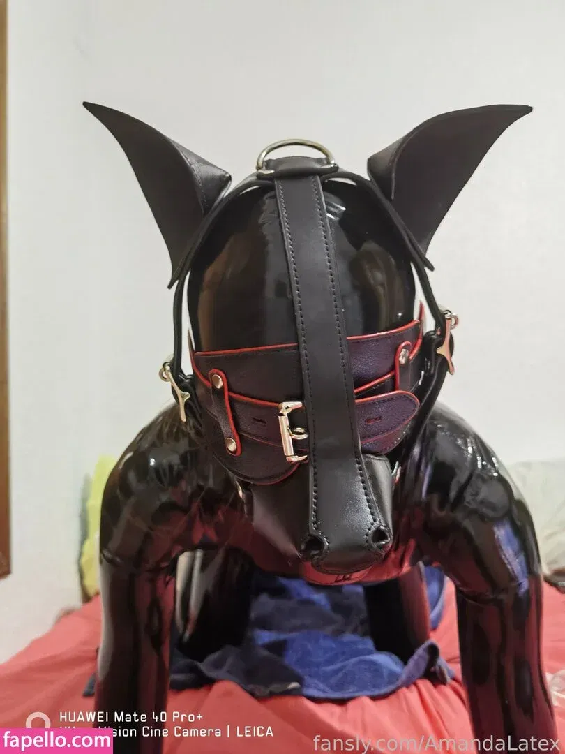 AmandaLatex Onlyfans Photo Gallery 