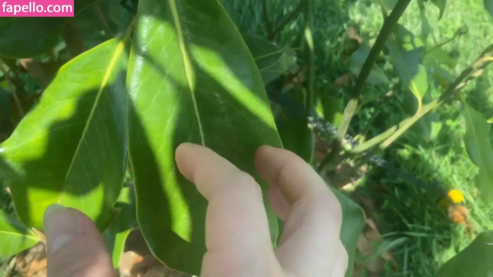 Eevyasmr Onlyfans Photo Gallery 