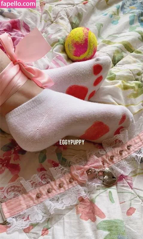 Dumb Pup Onlyfans Photo Gallery 