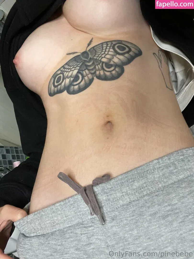 pinebebe Onlyfans Photo Gallery 