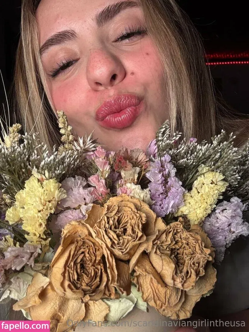 scandinaviangirlintheusa Onlyfans Photo Gallery 