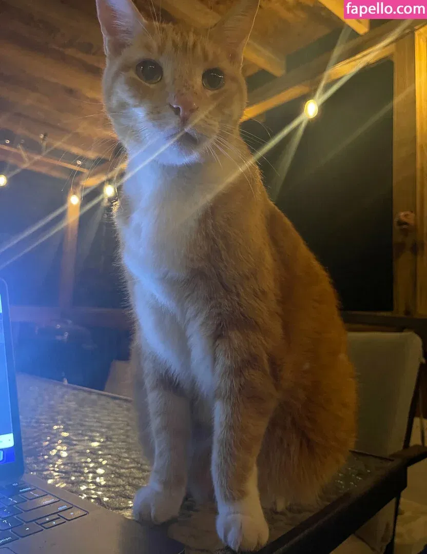 annacarter_nyc Onlyfans Photo Gallery 