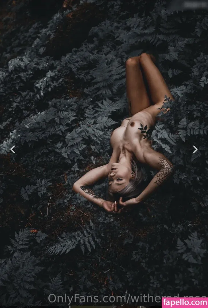 withered.rose Onlyfans Photo Gallery 