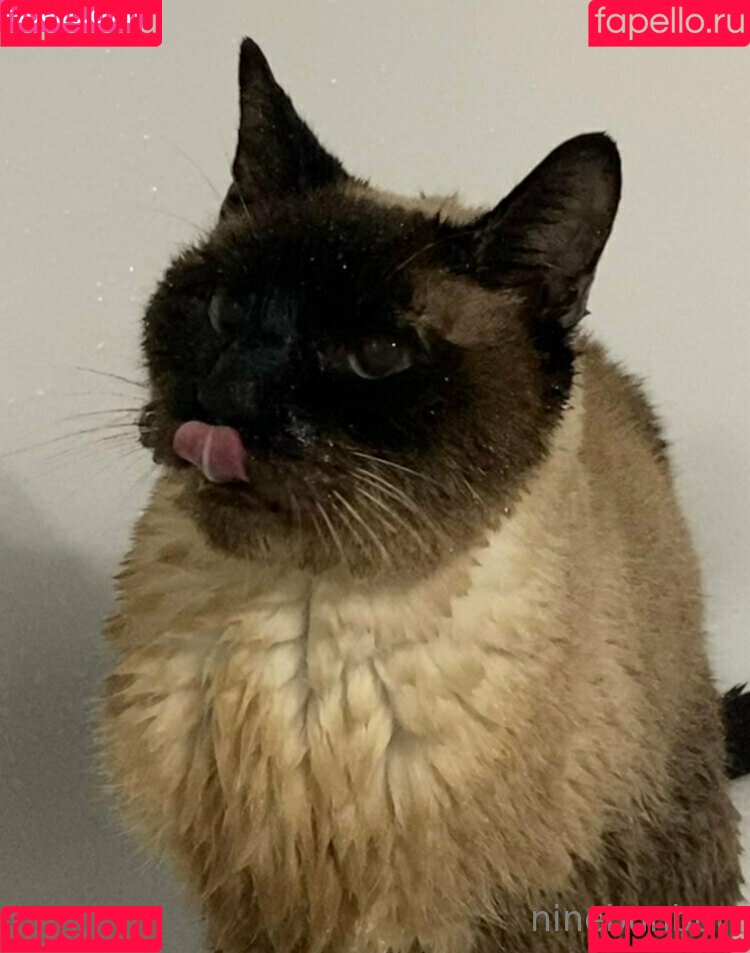 freebunbun Onlyfans Photo Gallery 