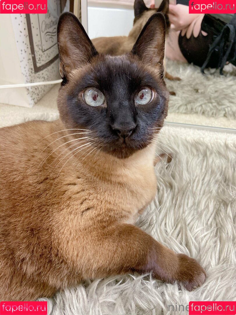 freebunbun Onlyfans Photo Gallery 