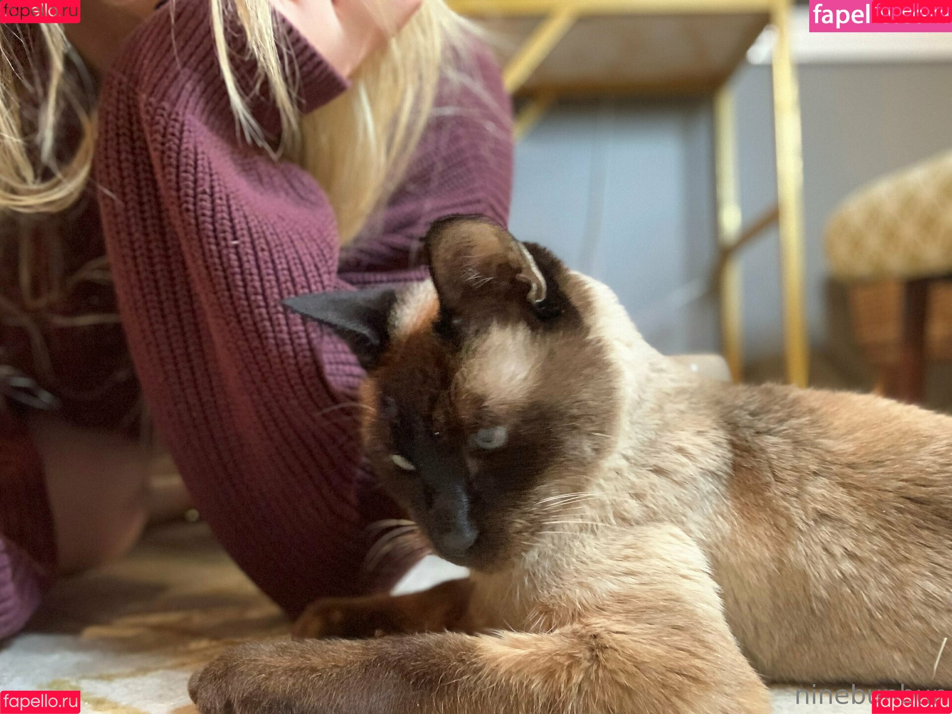 freebunbun Onlyfans Photo Gallery 